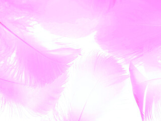 Obraz premium Beautiful abstract gray and pink feathers on white background, white feather frame texture on pink pattern and pink background, feather, pink banners