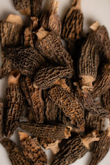 Dried morels close up. Delicacies of Italian cuisine.