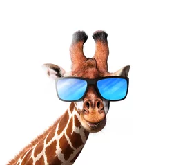 Schilderijen op glas Glimlachende giraf met een blauwe zonnebril © funstarts33