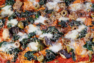 Home-made pizza with spinach .and mozzarella