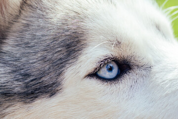 dod with woman living in mountains area