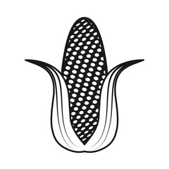 corn icon on a white isolated background. Vector image