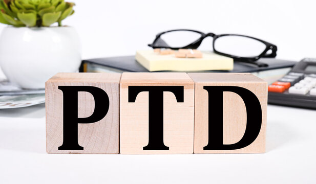 PTD - Project To Date acronym,text on wooden cubes, on a light background. Flower in a pot, business concept