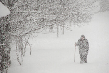 Snow blizzard in winter, dense snow falling with strong wind and old woman walking through the snow, metorological cold windy and snowy weather photo