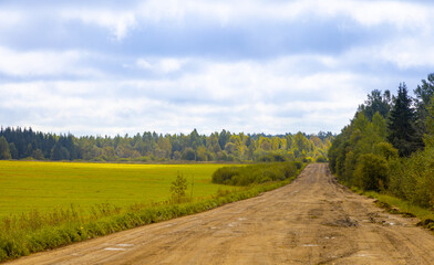 Fototapeta premium Dirt road leads somewhere. In the background a field and somewhere behind it a forest.