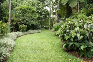 Landscaped tropical rainforest garden with variegated mondo grass edging