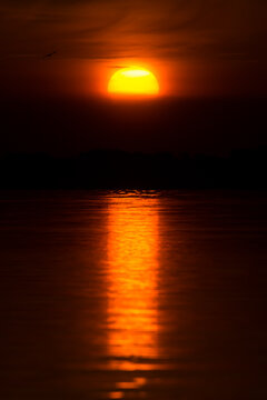 Sunrise at the river Drava in Croatia, warm red black and yellow dramatic colors of sunset landscape with huge sun, photo taken in peaceful early morning, burning fire sunrise sunset