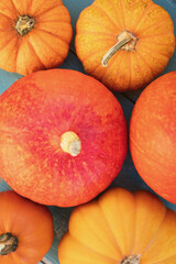 Topview, different sorts of orange pumpkins, Thanksgiving and vegetables