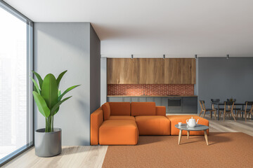 Gray kitchen and living room interior