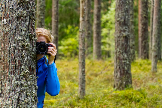 Young woman trekking among trees and taking pictures with camera. middle age woman photographer taking picture in autumn forest. Nature photography.