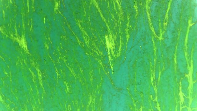 Green background pattern abstract graphic template air flow grass algae hair