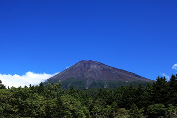 Fototapeta premium The signs of autumn are all around us.