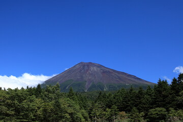 Fototapeta premium a sign of the approach of autumn