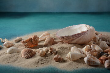 Obraz na płótnie Canvas Sea shells on a sea wave color background with sand. Summer vacation concept.