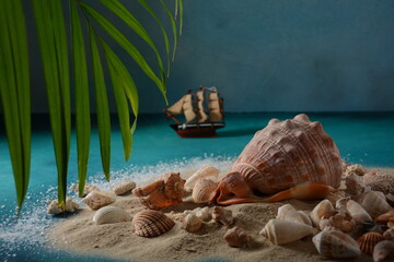 Sea shells on a sea wave color background with sand. Summer vacation concept.