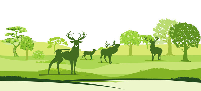Hirsche in der Landschaft - Vektor illustration