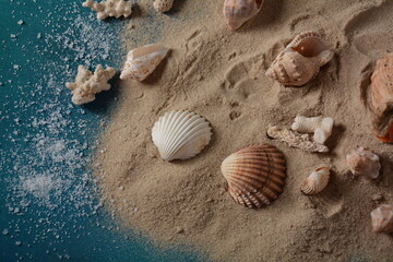 Sea shells on a sea wave color background with sand. Summer vacation concept.