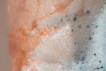 textura, salar, sal, lago de sal, sal rosada, pink