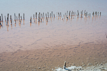 textura, salar, sal, lago de sal, sal rosada, pink, muelle