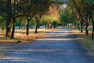 nature, a trail in the city Park early in the morning, bright sunlight and long shadows of trees