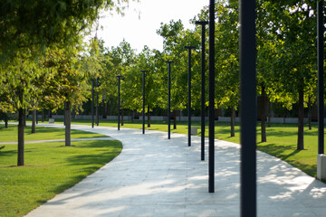 Walking path in the park