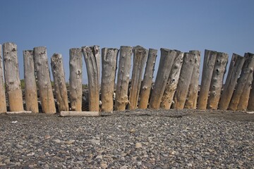wooden breakwater on the beach
