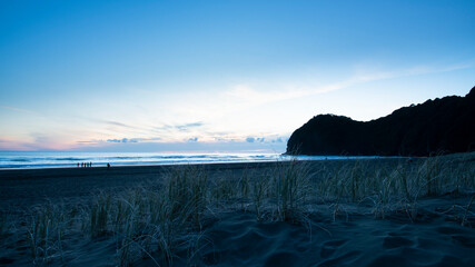 Sunset view of Piha beach with grass on the black sand dunes