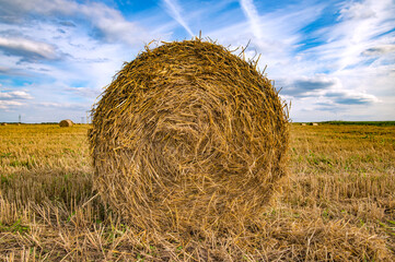 round bale of straw on a mown field against a blue sky