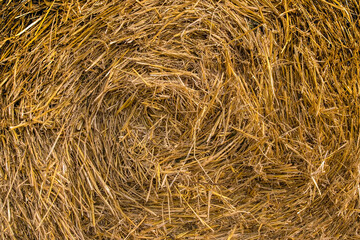 straw bale texture background