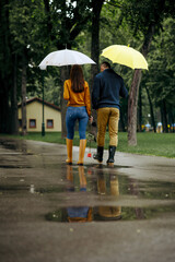 Love couple with umbrellas walks in park, back view