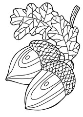 Hazelnut acorn with leaves. Autumn coloring for children and adults, zen art. Black and white drawing. Outline illustration. © Katya Lisich