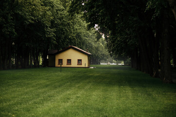 Obraz premium Wooden house on lawn in summer park, rainy day