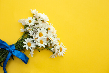 a bouquet of daisies tied with a blue ribbon on a yellow background