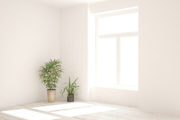 White empty roomwith green home plants. Scandinavian interior design. 3D illustration