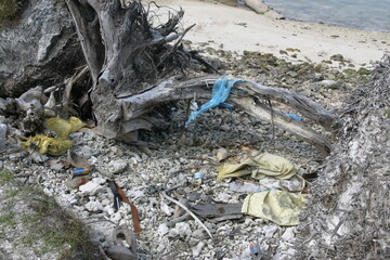 Malediven Tierwelt Wasser