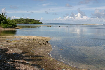 Malediven Tierwelt Wasser
