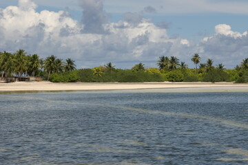 Malediven Tierwelt Wasser