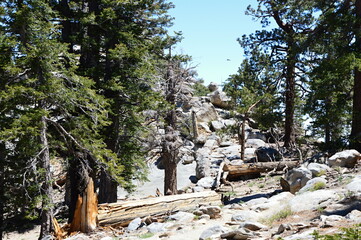 Mount San Jacinto, Kalifornien
