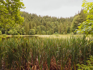 Bayerische Landschaft. Sutten Feuchgebiet und Suttensee Oberhalb Rottach-Egern. Tolle Ausblicke in...