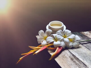 Facial cosmetic cream container and Heliconia flower,Frangipani flowers,on old wood plank.Rustic still life,soft dark tone,dimly light,with lens flare,free space for your text design or your products.