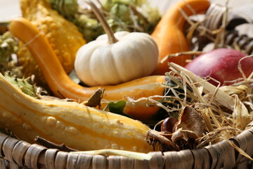 zierkürbisse in einem Körbchen