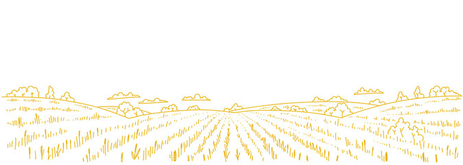 Dry grass meadow. Agriculture field. Hand drawn sketch. Rural landscape panorama. Horizontal banner. Copy space. © Ilia