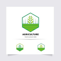 flat emblem logo design for Agriculture with the concept of green leaves vector. Green nature logo used for agricultural systems, farmers, and plantation products. logo template.