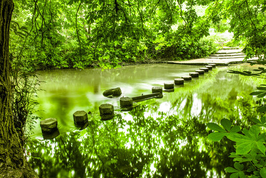 Stepping stones on a path to Box Hill