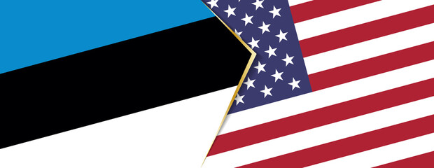 Estonia and United States flags, two vector flags.