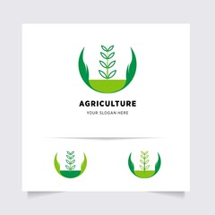 flat emblem logo design for Agriculture with the concept of green leaves vector. Green nature logo used for agricultural systems, farmers, and plantation products. logo template.