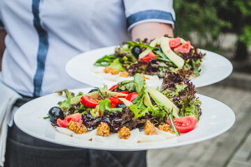 Serving the salad. Fine cuisine in a restaurant