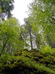 Bayerische Landschaft. Sutten Feuchgebiet durch das idyllische Rottachtal. Der Weg um den Wald am...