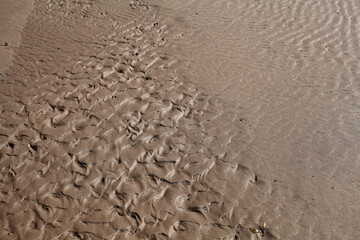 traces on sand