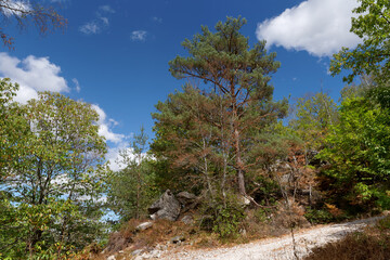Obraz premium hillside of Courances in the french Gatinais regional nature park